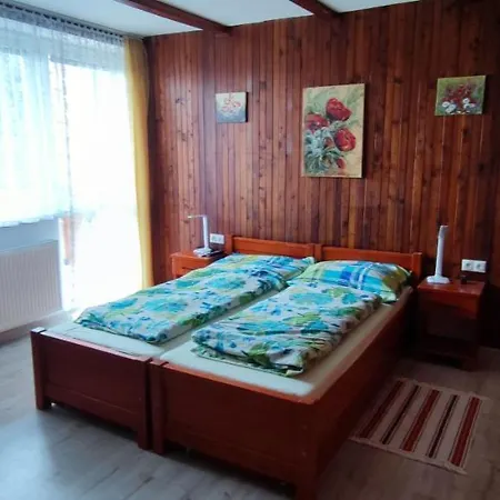 Guest house Ruzova *
